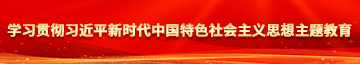 色逼我学习贯彻习近平新时代中国特色社会主义思想主题教育