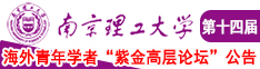 成人淫穴网南京理工大学第十四届海外青年学者紫金论坛诚邀海内外英才！